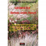 Gramineele alimentatie sanatate frumusete - Ennio Lazzarini Anna Rita Lonardoni, 2008, Antet