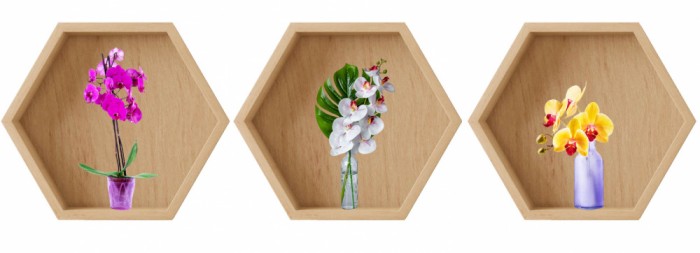 Sticker Orhidee 3D - Nise Hexagon Lemn