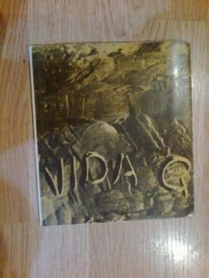 d4 Vida G - Marin Mihalache foto