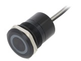 Comutator Capacitiv 12VDC IP68