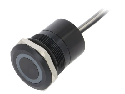 Comutator Capacitiv 12VDC IP68 foto