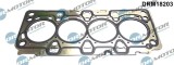 Garnitura, Chiulasa 429891 DRM18203