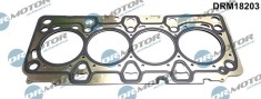 Garnitura, Chiulasa 429891 DRM18203
