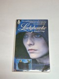Ladyhawke &ndash; Aut. Joan D. Vinge, Ed. Pan Books, 1985