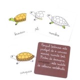 Lectii de zoologie:Vertebrate. Lectii Montessori!2020