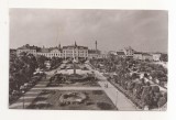 RF104 - Carte Postala - Satu Mare. Piata Libertatii, circulata 1969