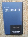 Foamea - Knut Hamsun, Editura Univers, Roman, Literatura clasica