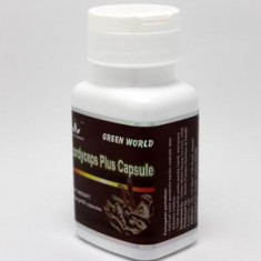 Cordyceps plus Green World foto