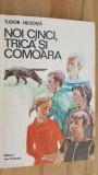 Noi cinci, Trica si comoara- Tudor Negoita