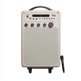 Boxa portabila E-Boda Retro Karaoke 100, 60 W, Bluetooth, USB, Card TF, Auxiliar, Radio FM
