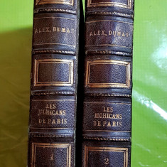 E851-I-Al. Dumas-Mohicanii din Paris-Ex Libris 1867 2 volume ed. vechi rare.