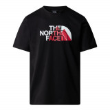 Biner Graphic 1, The North Face