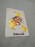 CARTE POSTALA --FELICITARE PASTI NECIRCULATA, Printata