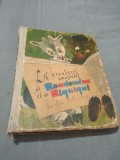 LES AVENTURES AMUSANTES DE ROUDOUDOU ET DE RIQUIQUI MOSCOVA 1968