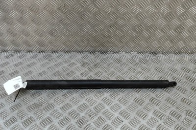 Amortizor haion dreapta TESLA MODEL Y 2021 OEM: 1500602-00-A 30617325 foto