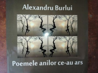 Poemele anilor ce-au ars - Alexandru Burlui foto