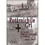 Potarnichile gri. Spitalele Femeilor Scotiene in Romania (1916-1917) - Costel Coroban