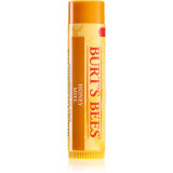 Burt&rsquo;s Bees Lip Care balsam de buze cu miere (with Honey &amp; Vitamin E) 4,25 g