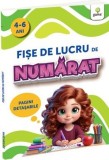 Fise de lucru de numarat - Editura Gama