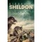 F&eacute;lsz a s&ouml;t&eacute;tben? - Sidney Sheldon