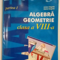 Anton Negrila, Maria Negrila - Algebra, Geometrie - Clasa a VIII-a - 2000+3