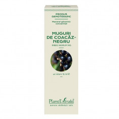 Concentrat Muguri Coacaz Negru 15ml PlantExtrakt