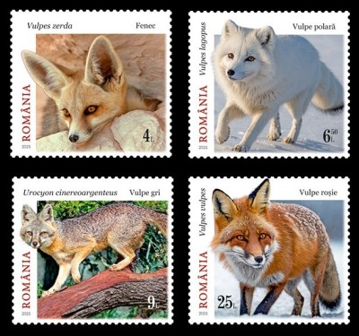 ROMANIA 2025 VULPI Serie 4 val. LP.2507 MNH** foto