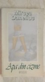 Mircea Daneliuc - Apa din cizme, 2000, Univers