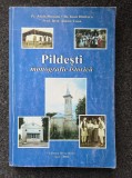 PILDESTI. Monografie istorica - Moraru, Dimisca