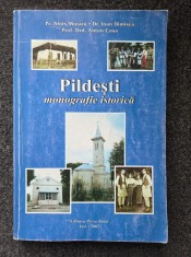 PILDESTI. Monografie istorica - Moraru, Dimisca