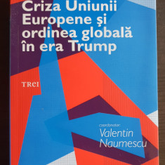 Criza Uniunii Europene și ordinea globală în era Trump - Valentin Naumescu