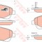 Set placute frana,frana disc TOYOTA COROLLA Verso (ZER, ZZE12, R1) (2004 - 2009) TRW GDB3336