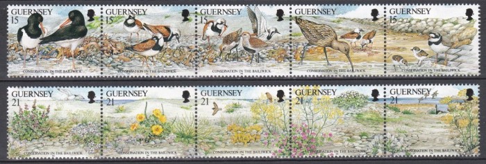 Guernsey 1991 - Protecția naturii, 2 Serii, Staifuri, MNH