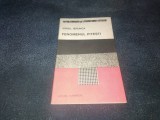 VIRGIL IERUNCA - FENOMENUL PITESTI