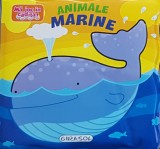 Ma joc in cadita! Animale marine, Girasol