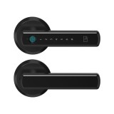Cumpara ieftin Set Maner &amp; Broasca IFL cu Deschiere Amprenta, Cod PIN, Administrare Aplicatie, Negru Mat SmartElectro IntelligentHouse