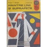 PRINTRE LINII SI SUPRAFETE-FLORICA T. CAMPAN-338141