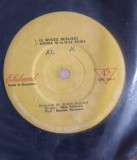 Disc vinil, LP. IN MUNTII BUZAULUI-BENONE SINULESCU, GEORGETA ANGHEL-246282