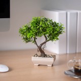 Decor plante artificiale - bonsai - 18 x 24 cm Best CarHome, Oem