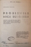 PROBLEMELE MICII BURGHEZII