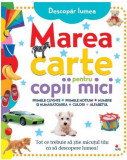 Cumpara ieftin Marea carte pentru copii mici |