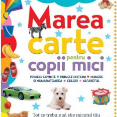 Marea carte pentru copii mici |