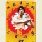 Wrath of the Dragon: The Real Fights of Bruce Lee