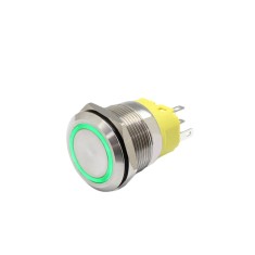 Buton push iluminat cu mentinere, 5A 12, 24V DC, 22mm, IP65, metalic, inel LED verde, 5 pini, FLM22-FJ-1-EX000-S11Z5-GREEN