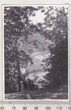 Bnk foto - Valea Oltului la Calimanesti - 1962, Alb-Negru, Romania de la 1950, Natura