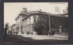 Carte Postala Romania Satu Mare - Tribunalul