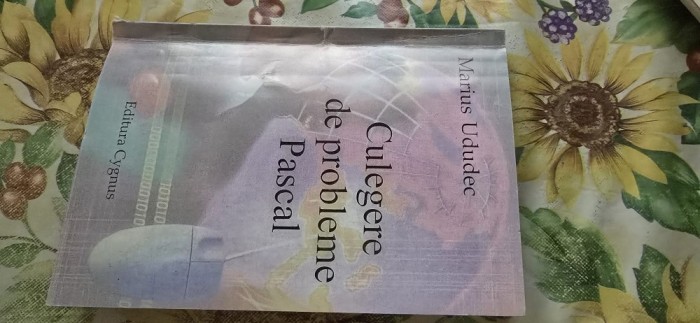 Marius Ududec - Culegere de probleme pascal