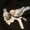 Decor / Vintage / Colectie - Bibelou din portelan pasari model deosebit !