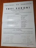 Afis teatrul de comedie - trei surori de a.p. cehov-vasilica tastaman,s.popescu