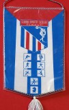 Fanion Sport - Clubul Sportiv Scolar PLOIESTI